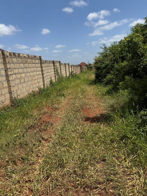 This is the path that we take to walk or drive to the property which is on the left of the wall.